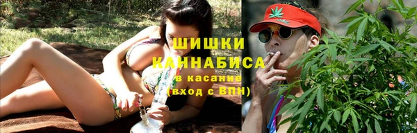 стаф Дубна