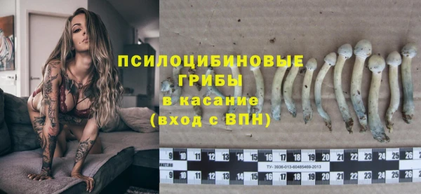 соль ск Алзамай