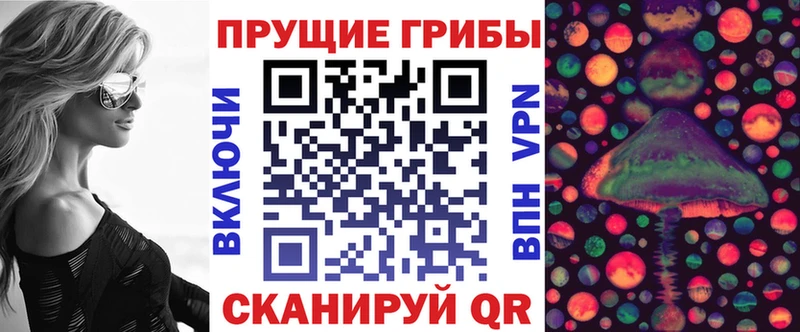 продажа наркотиков Звенигород Псилоцибиновые грибы ЛСД