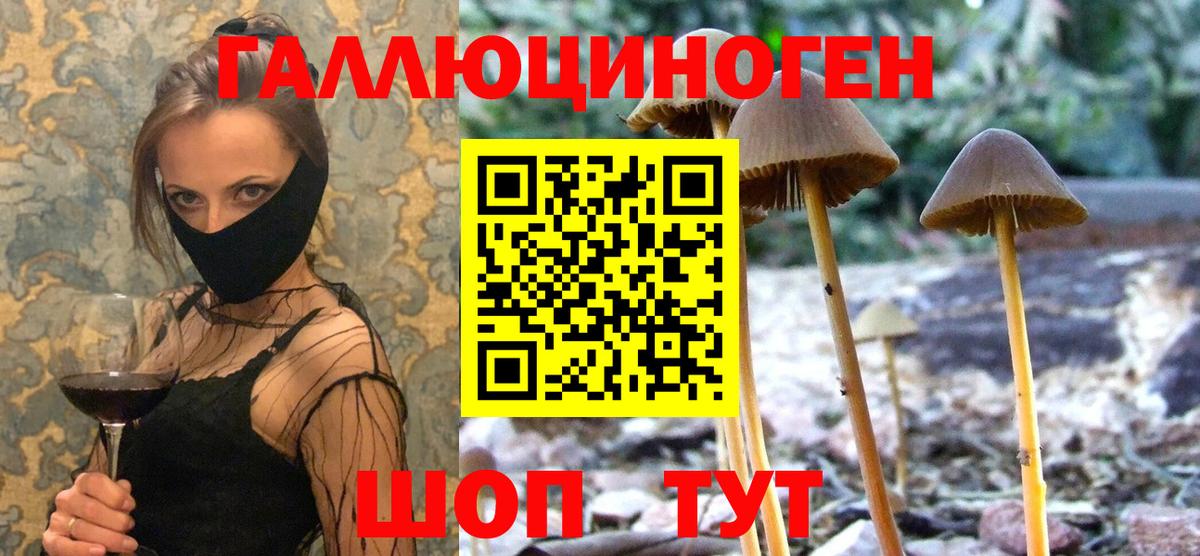 цены наркотик  Псилоцибиновые грибы Cubensis  Вход с VPN  Звенигород  Галлюциногенные грибы Psilocybine cubensis 
