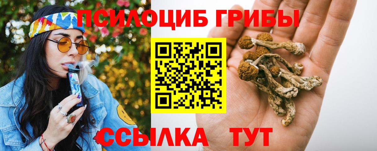 Псилоцибиновые грибы Magic Shrooms Звенигород